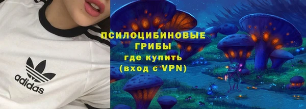 индика Алексин