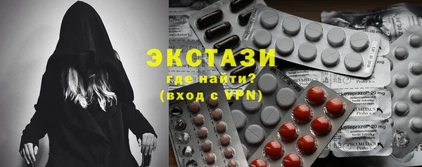 индика Алексин