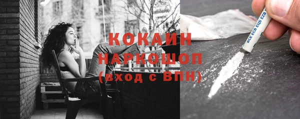 индика Алексин