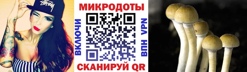 Галлюциногенные грибы Magic Shrooms omg рабочий сайт Заполярный